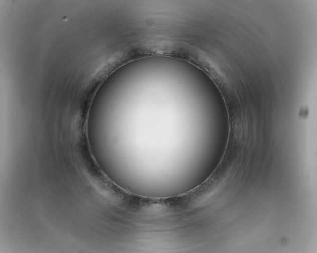 X0000091300594200708172210