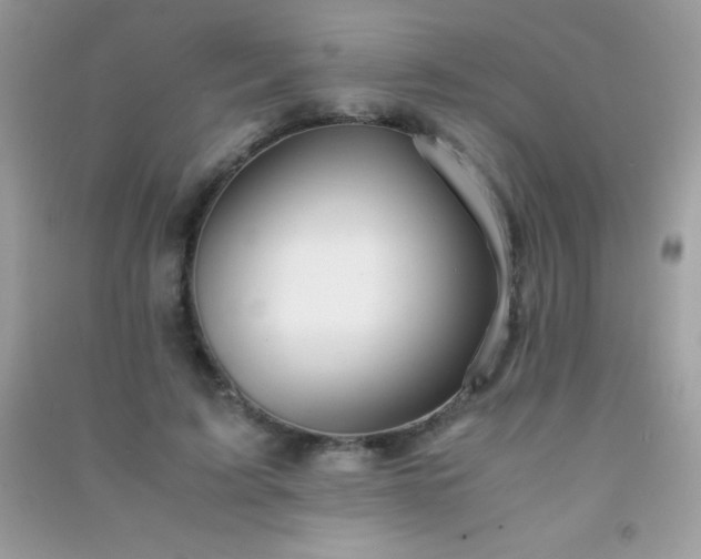 X0000091300595200708172210