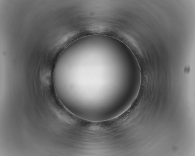 X0000091300596200708172210