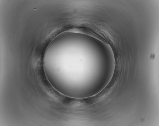 X0000091300597200708172210