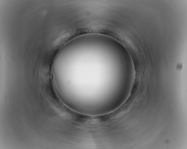 X0000091300599200708172210