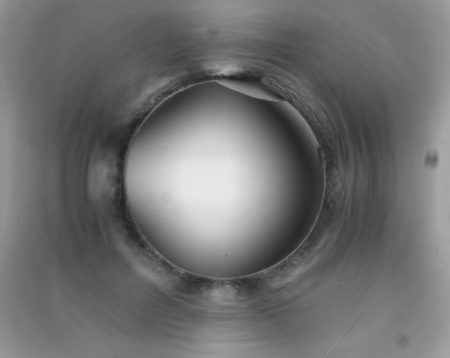 X0000091300600200708172210