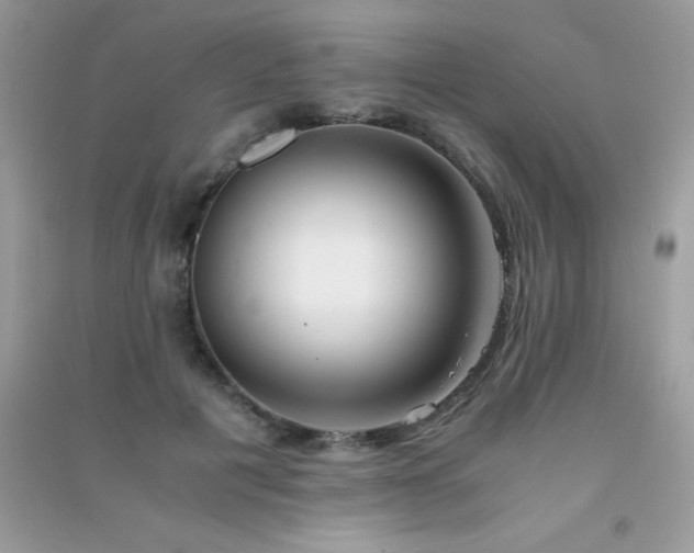 X0000091300601200708172210