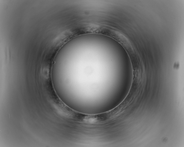 X0000091300602200708172210