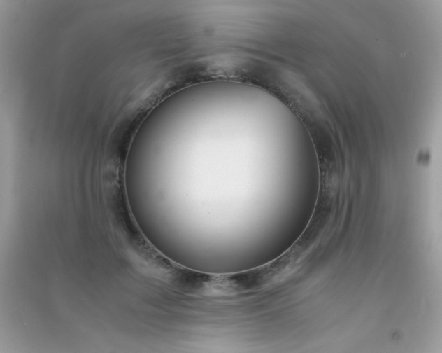 X0000091300603200708172210