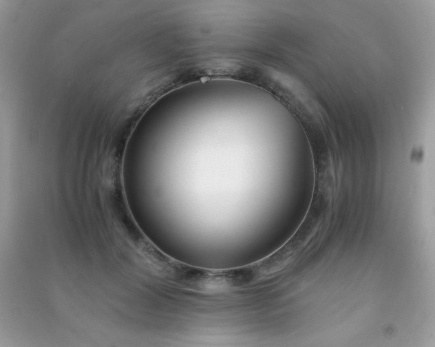 X0000091300604200708172210