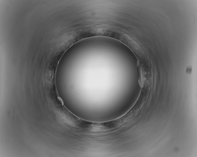 X0000091300605200708172210