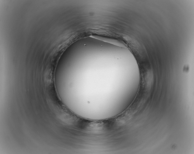 X0000091300606200708172210