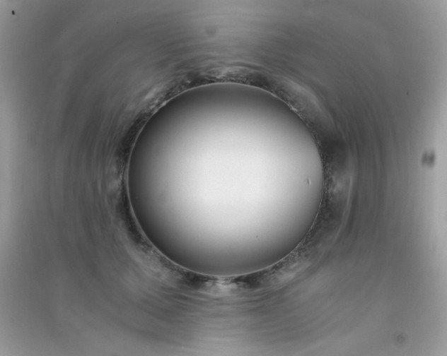 X0000091300607200708172210