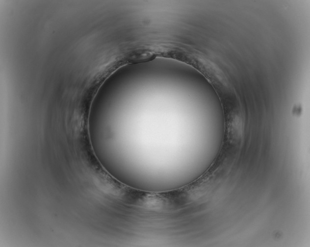 X0000091300608200708172210