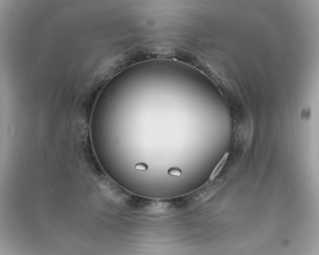 X0000091300609200708172210