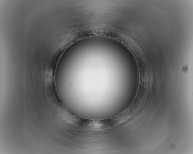 X0000091300610200708172210