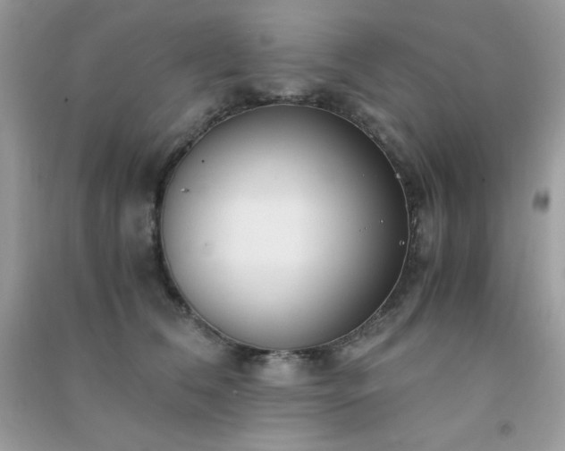 X0000091300612200708172210