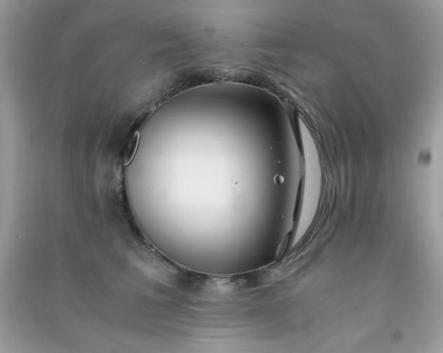 X0000091300613200708172210