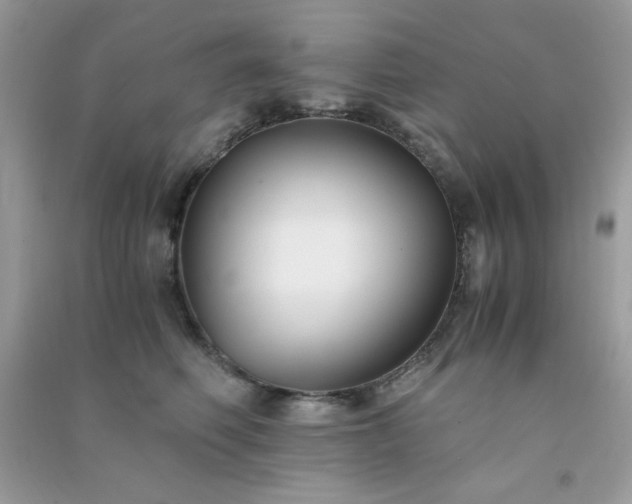 X0000091300614200708172210