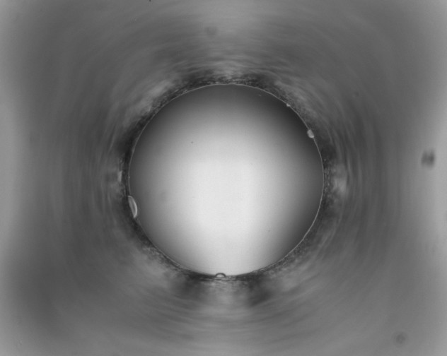 X0000091300615200708172210