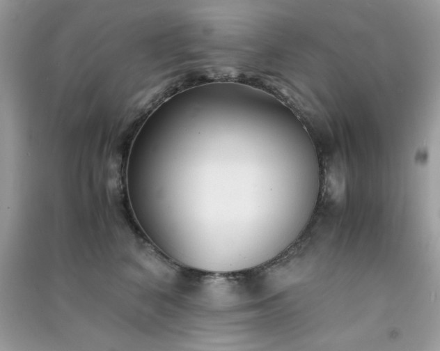 X0000091300616200708172210