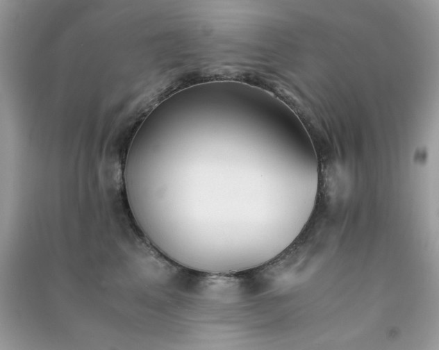 X0000091300617200708172210