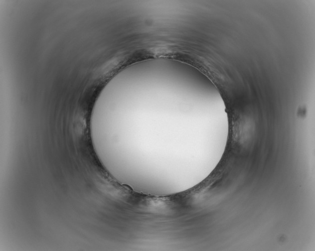 X0000091300618200708172210