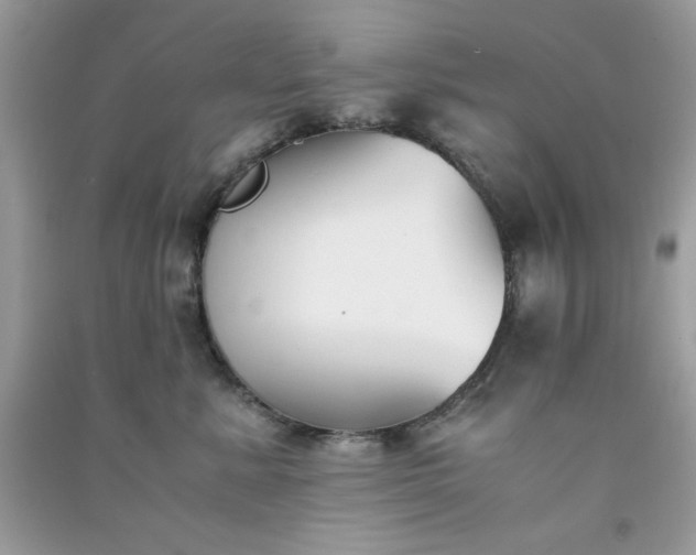 X0000091300619200708172210