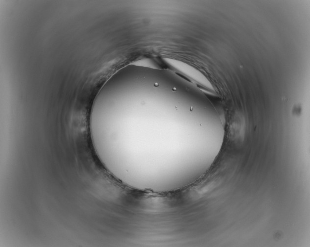 X0000091300620200708172210