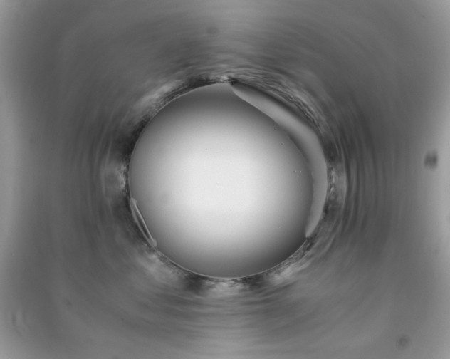 X0000091300621200708172210