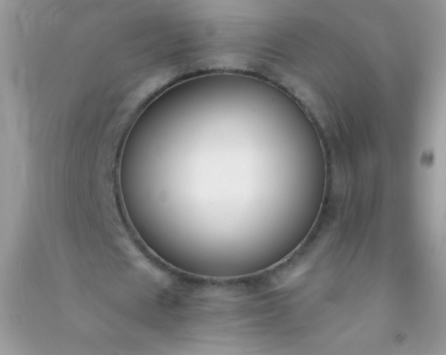 X0000091300625200708172209