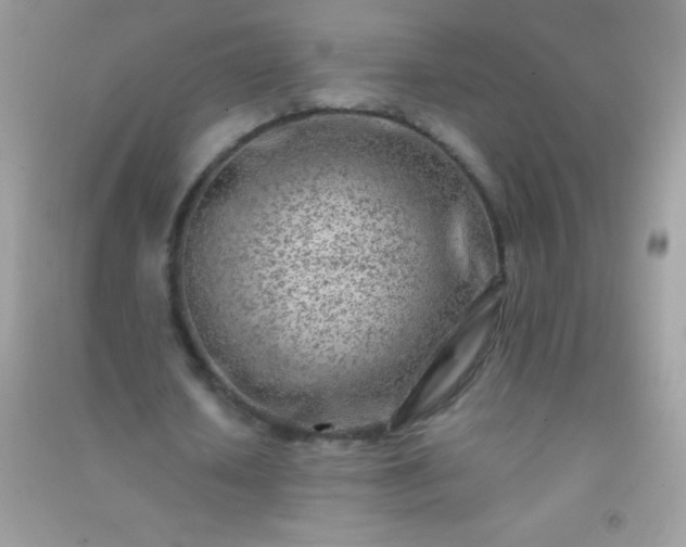 X0000091300626200708172209