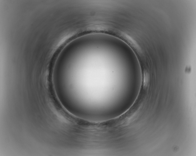 X0000091300627200708172209