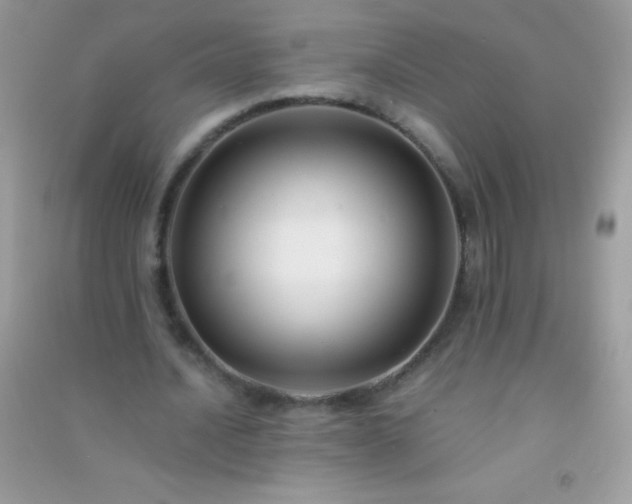 X0000091300628200708172209