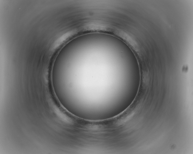 X0000091300629200708172209