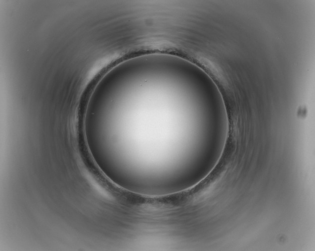 X0000091300630200708172209