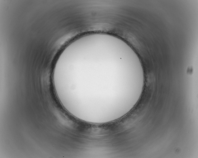 X0000091300632200708172209