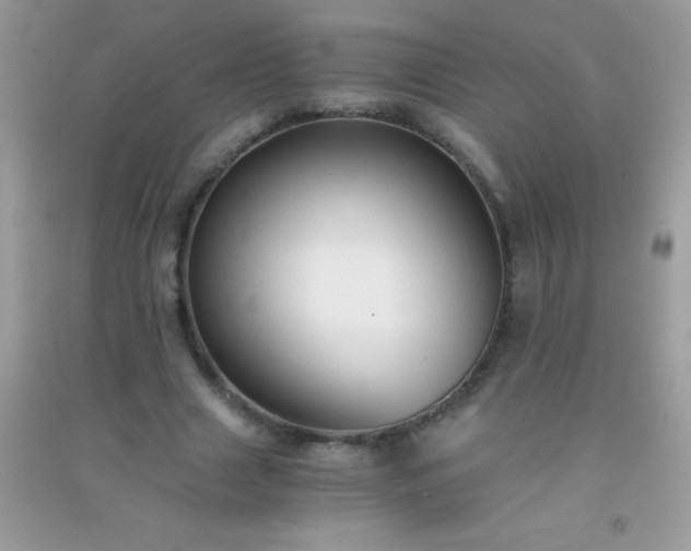 X0000091300633200708172209