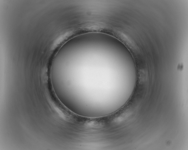 X0000091300634200708172209