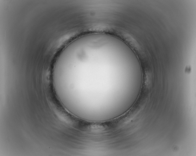 X0000091300636200708172209