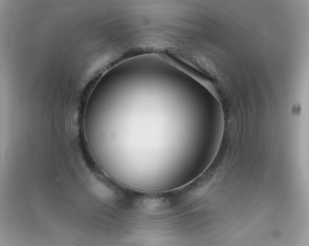 X0000091300638200708172209