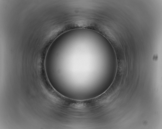 X0000091300639200708172209