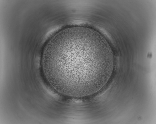 X0000091300640200708172209