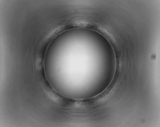 X0000091300641200708172209