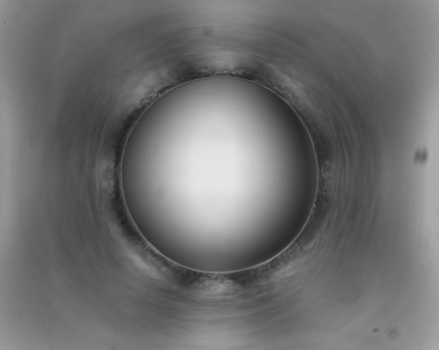 X0000091300642200708172209