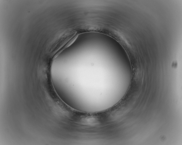 X0000091300643200708172209