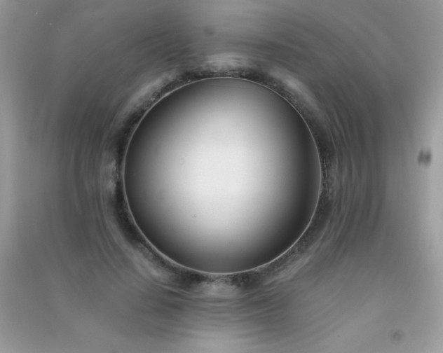 X0000091300644200708172209