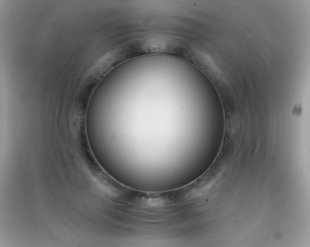 X0000091300645200708172209