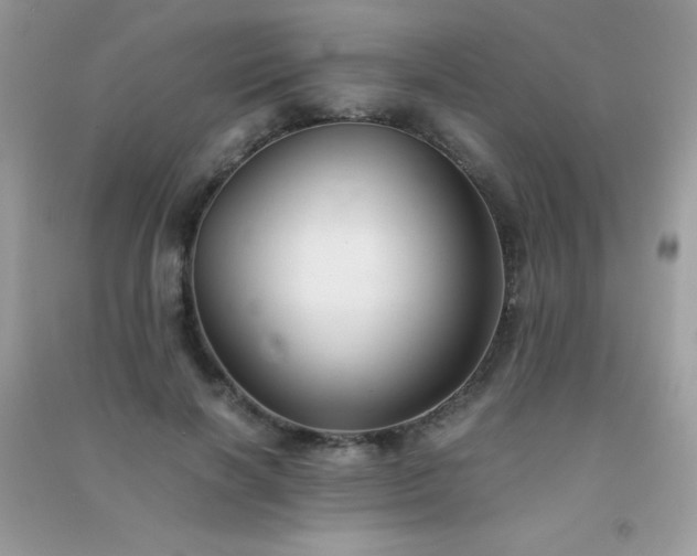 X0000091300646200708172209