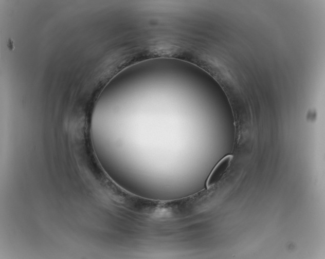 X0000091300647200708172209