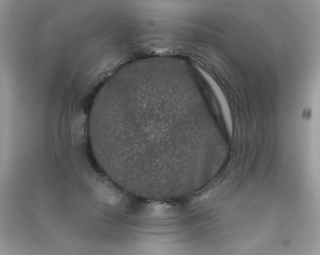 X0000091300650200708172209