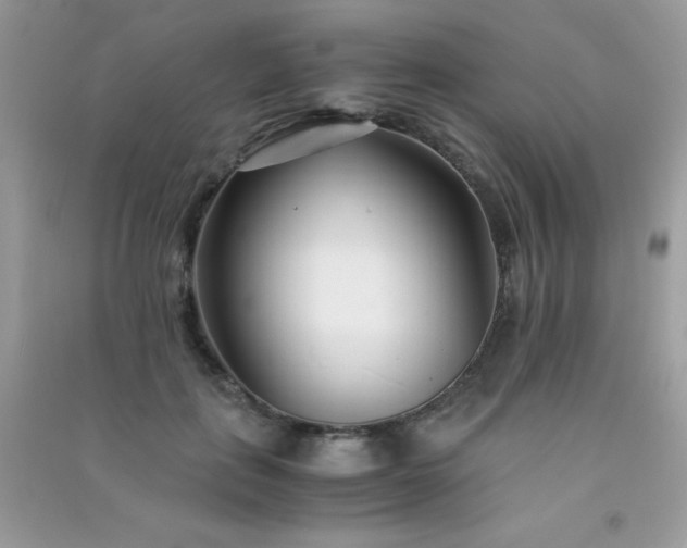 X0000091300651200708172209