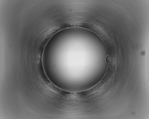 X0000091300652200708172209