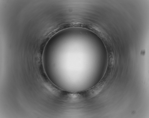 X0000091300654200708172209